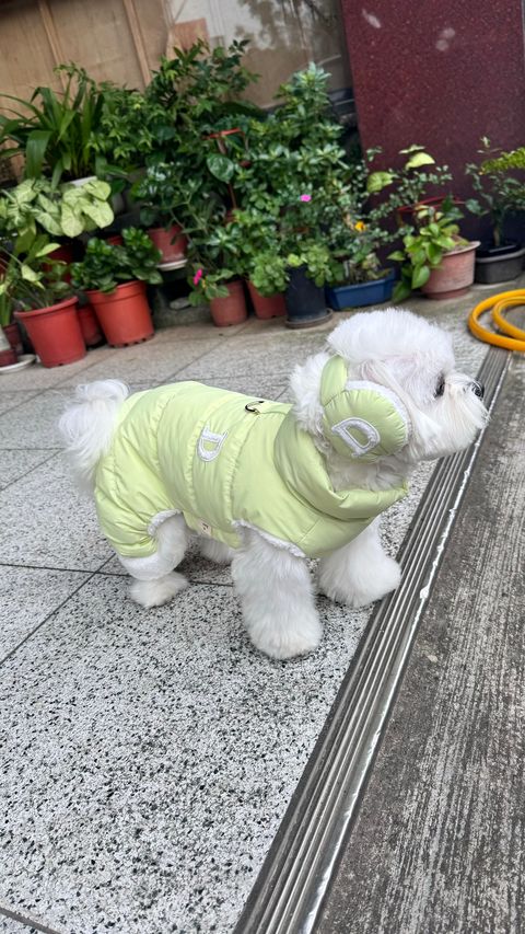 image_24BC58C8-1B30-492E-AF73-33E03207EE38_1769161738