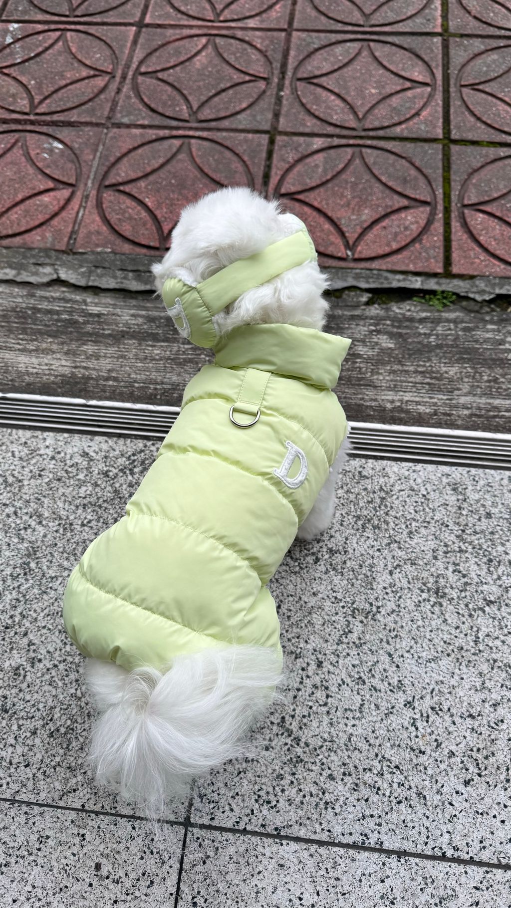 image_E5B00235-51B3-4895-A318-ED78E76A6AD4_1769161738