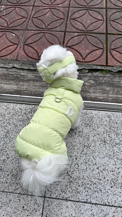 image_E5B00235-51B3-4895-A318-ED78E76A6AD4_1769161738