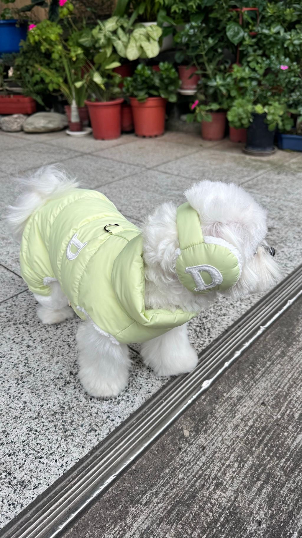 image_0B499C7A-EC41-490C-9B16-262825FDC066_1769161738