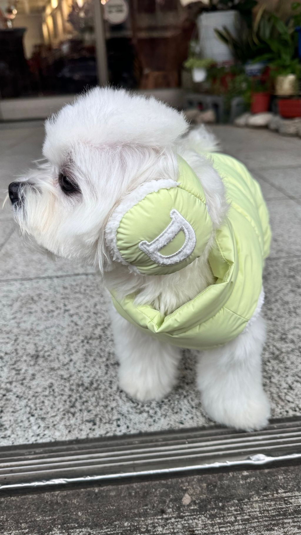 image_35B739EC-293E-4D7D-B2C7-E8BAC12EC269_1769161866