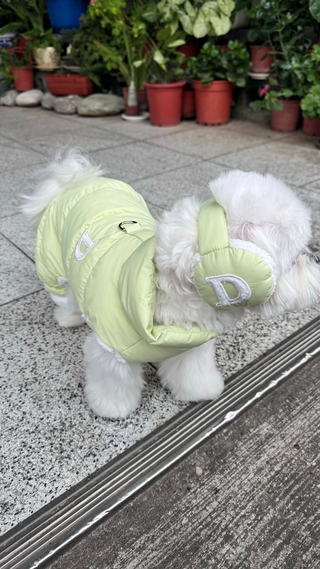 image_48290710-717A-45F0-B2F0-44C5EA2FC924_1769161866