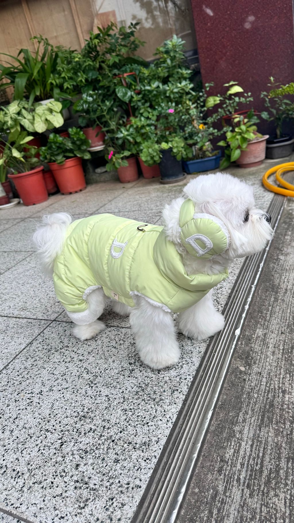 image_F532875A-034B-4E6C-A2DB-06FFD60DAAAE_1769161866