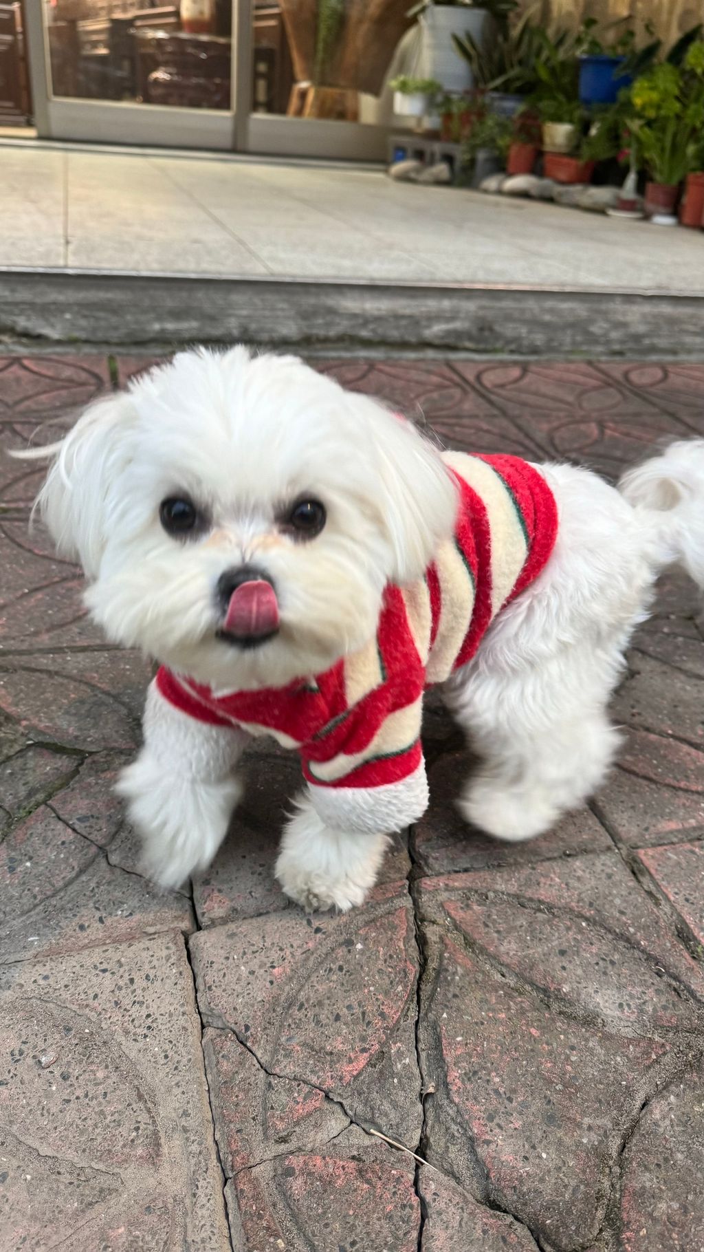 image_6428320B-8439-44D9-BDF0-0D0A25DF86ED_1769597946