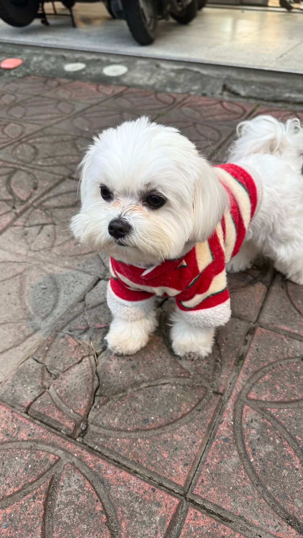 image_E120E7AB-8A4E-42EC-A4CF-EEF0D44713A8_1769597947