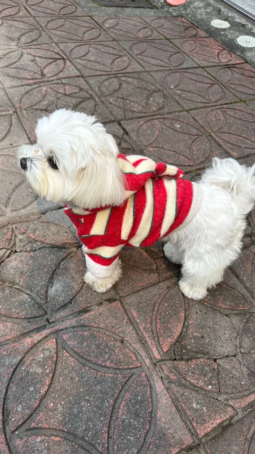 image_FB05E5C7-7C4F-4DD3-9E32-DB219BE4AD21_1769597947