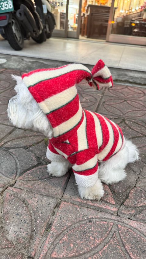 image_1F5E5330-01A4-4775-AE88-43B167091DD5_1769597947