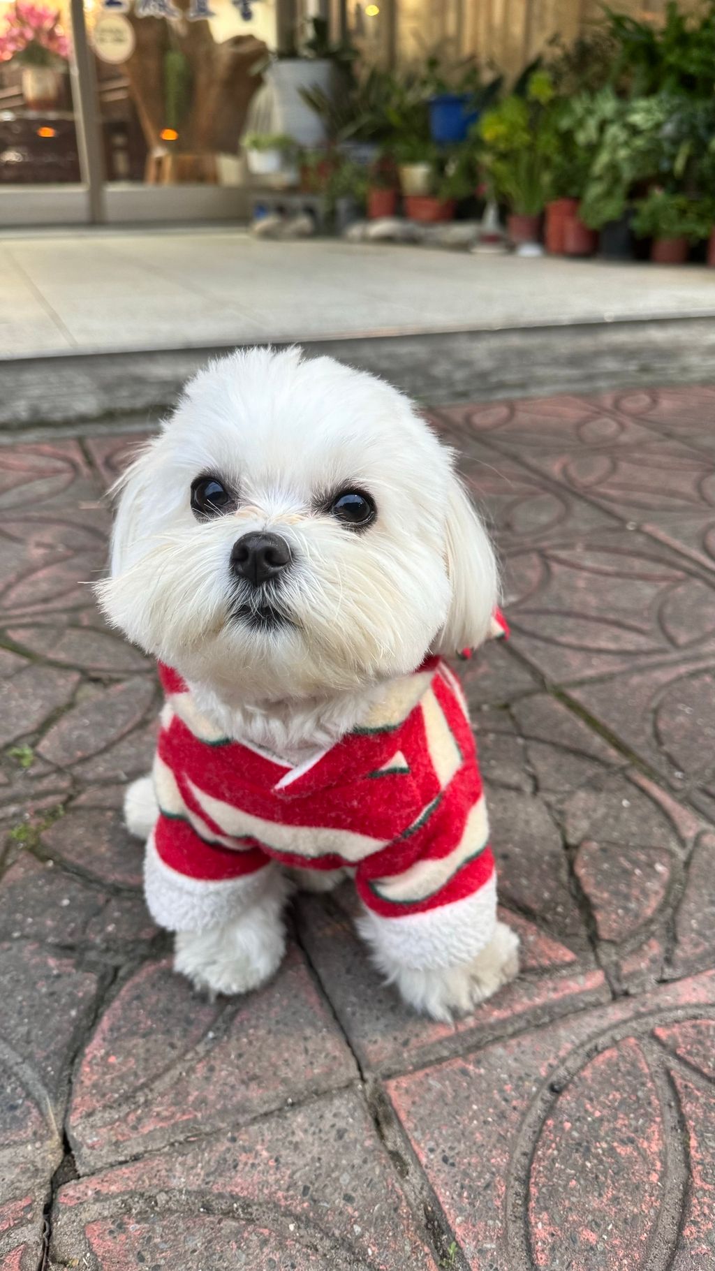 image_E7A145B8-4BE7-4A96-8BF0-0CE16C8087FD_1769597948