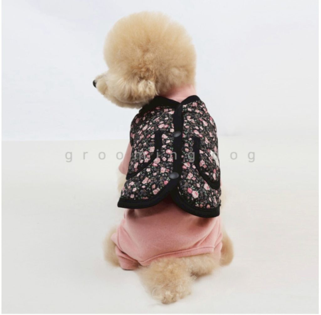 LINE_ALBUM_Grooming dog_260212_2