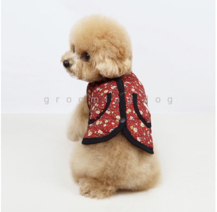 LINE_ALBUM_Grooming dog_260212_7