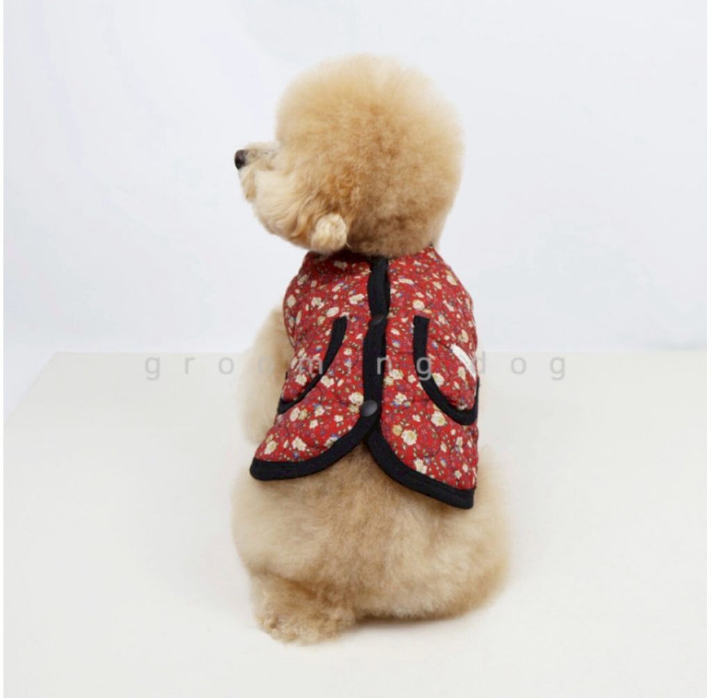 LINE_ALBUM_Grooming dog_260212_6