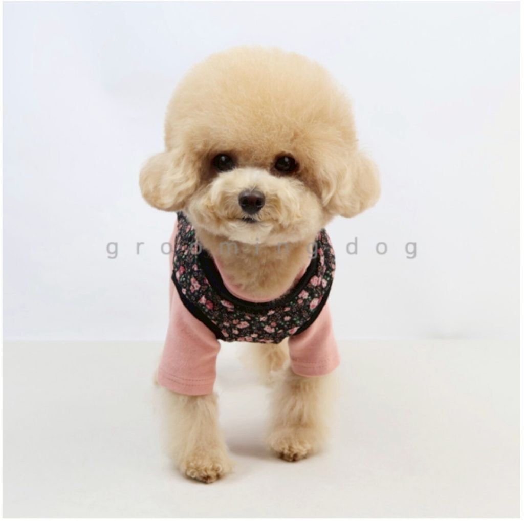 LINE_ALBUM_Grooming dog_260212_8