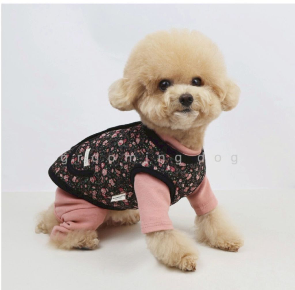 LINE_ALBUM_Grooming dog_260212_4