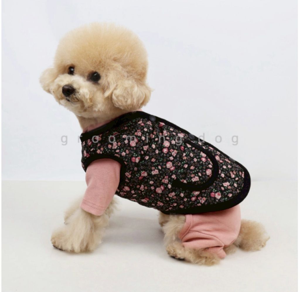 LINE_ALBUM_Grooming dog_260212_3