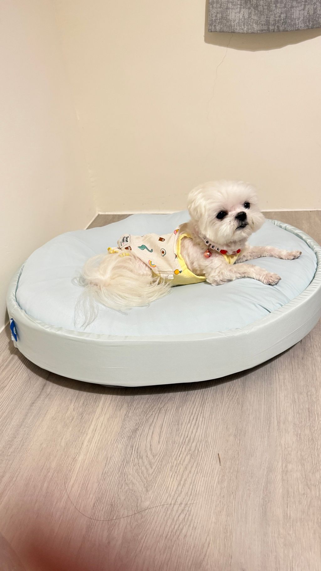 7A136474-5036-48D4-B2BF-2563C0B74BDB