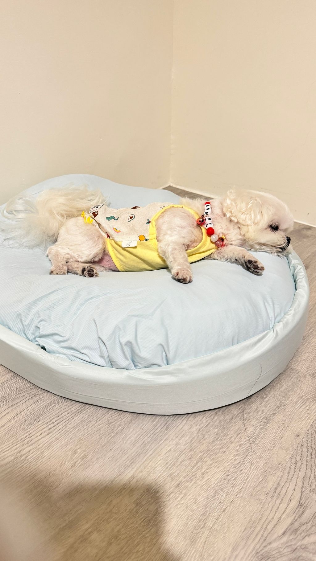 049629E7-5F09-4F99-9D76-FC445D252336