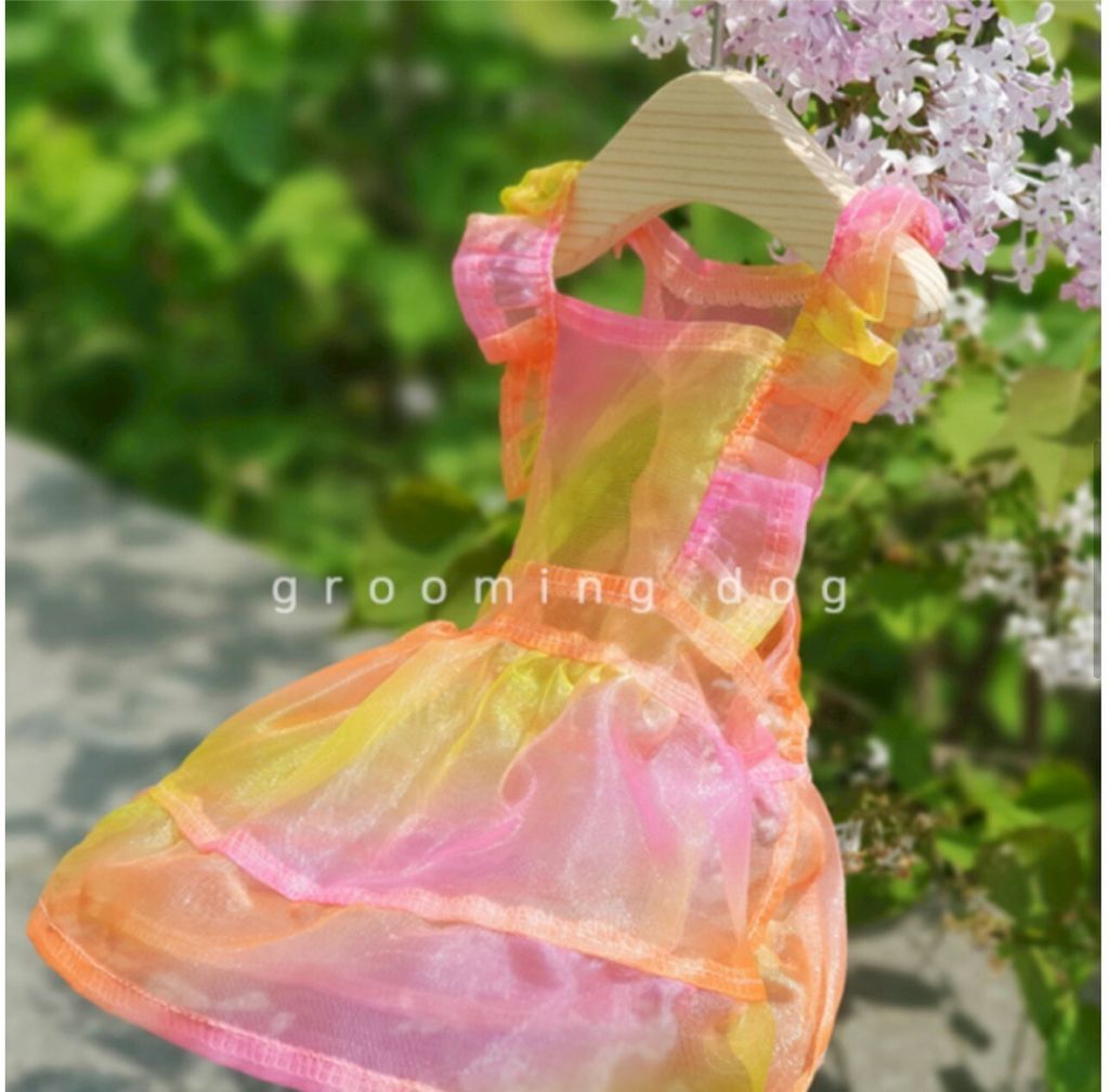 LINE_ALBUM_Grooming dog_260212_57