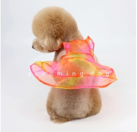 LINE_ALBUM_Grooming dog_260212_50