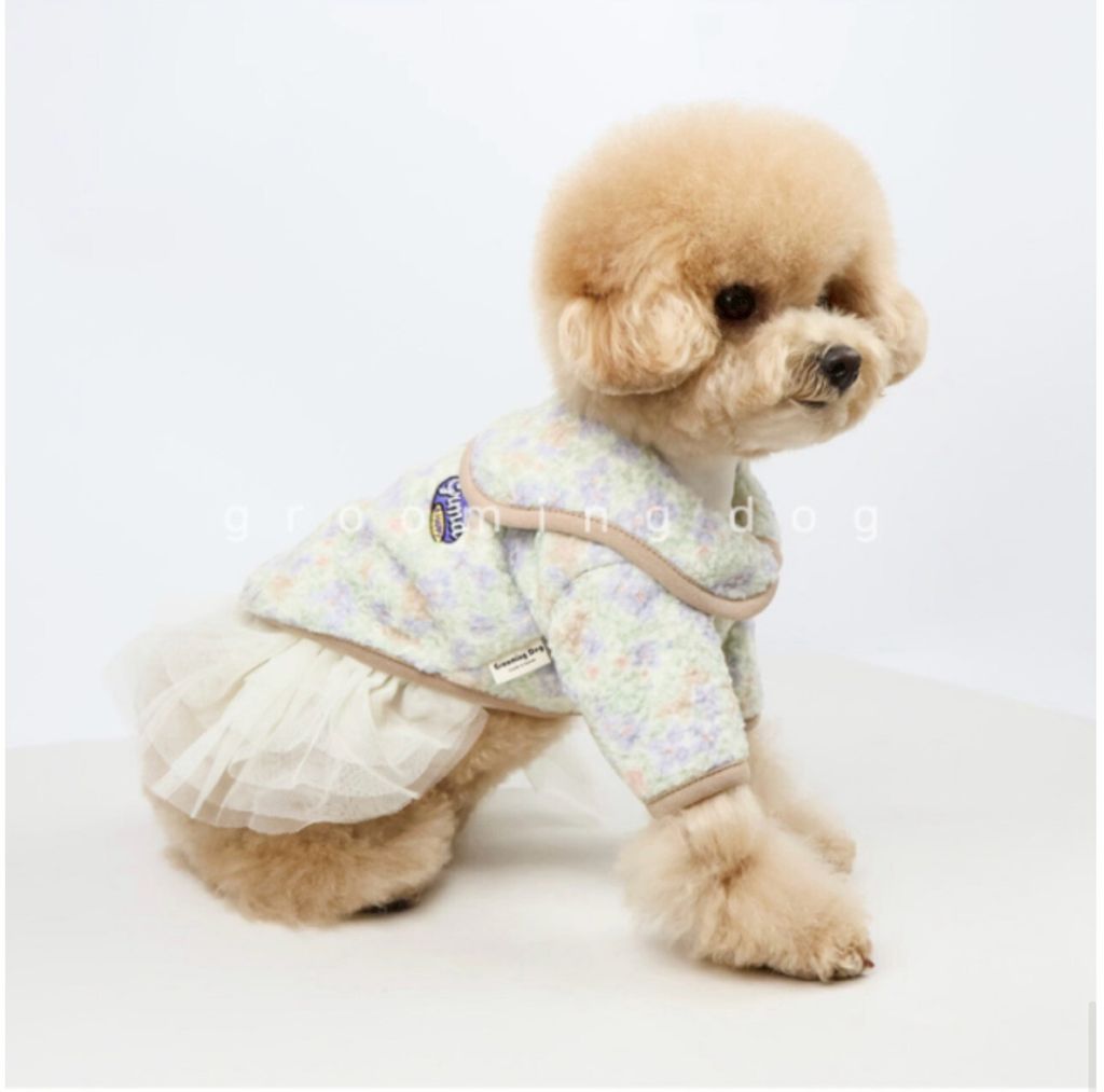 LINE_ALBUM_Grooming dog_260212_24