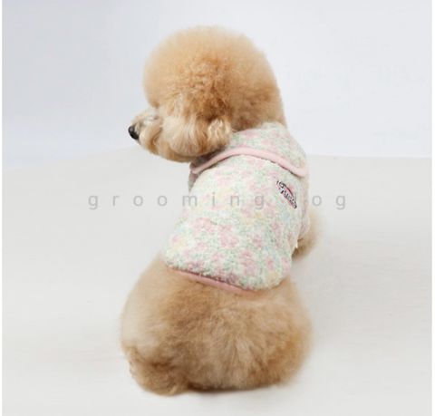 LINE_ALBUM_Grooming dog_260212_20