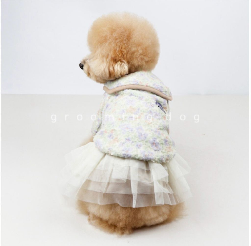 LINE_ALBUM_Grooming dog_260212_22