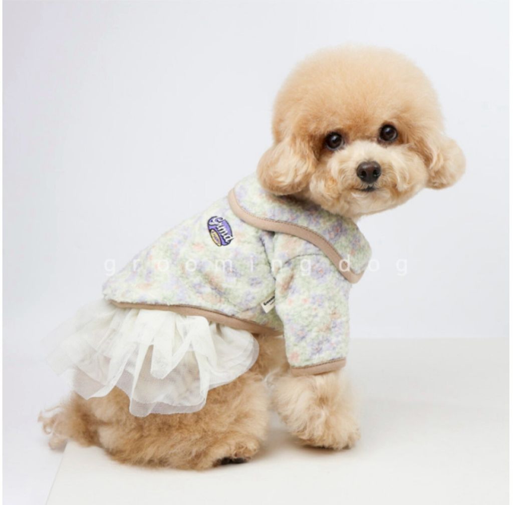 LINE_ALBUM_Grooming dog_260212_23