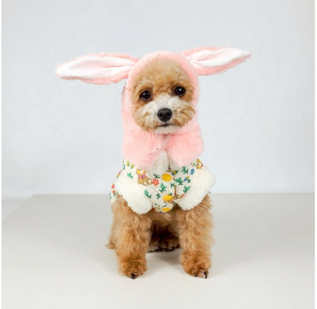 LINE_ALBUM_Grooming dog_260212_38