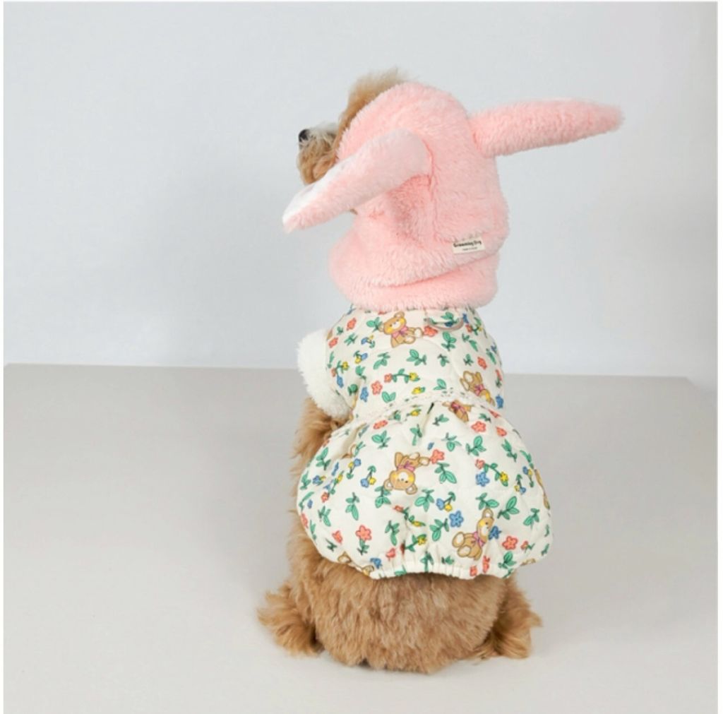 LINE_ALBUM_Grooming dog_260212_37