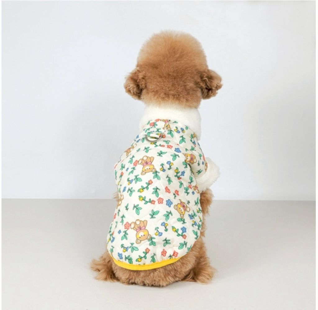 LINE_ALBUM_Grooming dog_260212_43