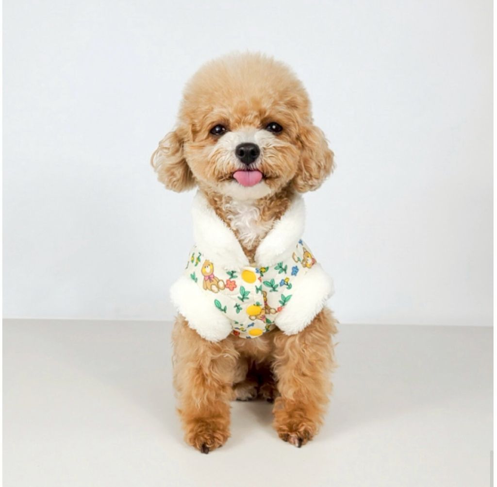 LINE_ALBUM_Grooming dog_260212_41