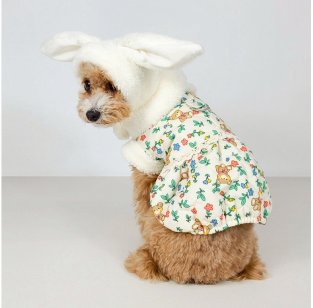 LINE_ALBUM_Grooming dog_260212_39