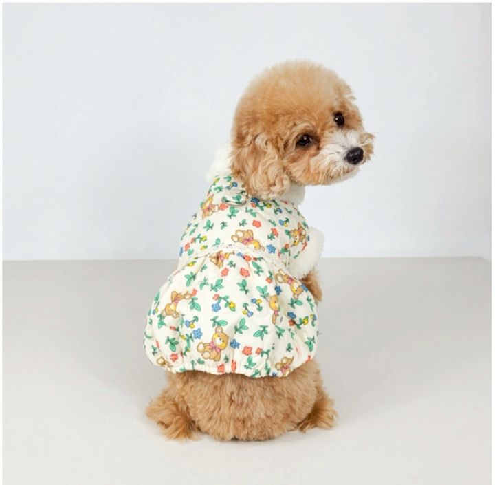 LINE_ALBUM_Grooming dog_260212_42