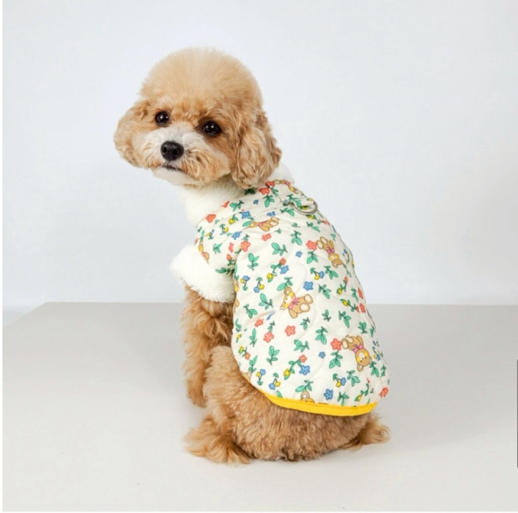 LINE_ALBUM_Grooming dog_260212_44