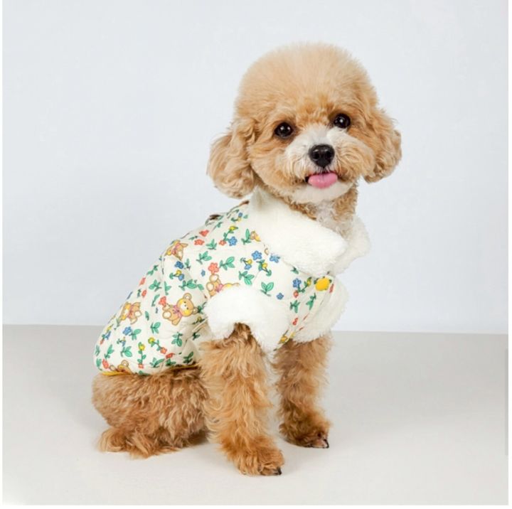 LINE_ALBUM_Grooming dog_260212_45