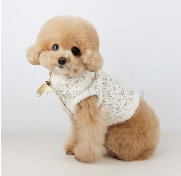 LINE_ALBUM_Grooming dog_260212_8