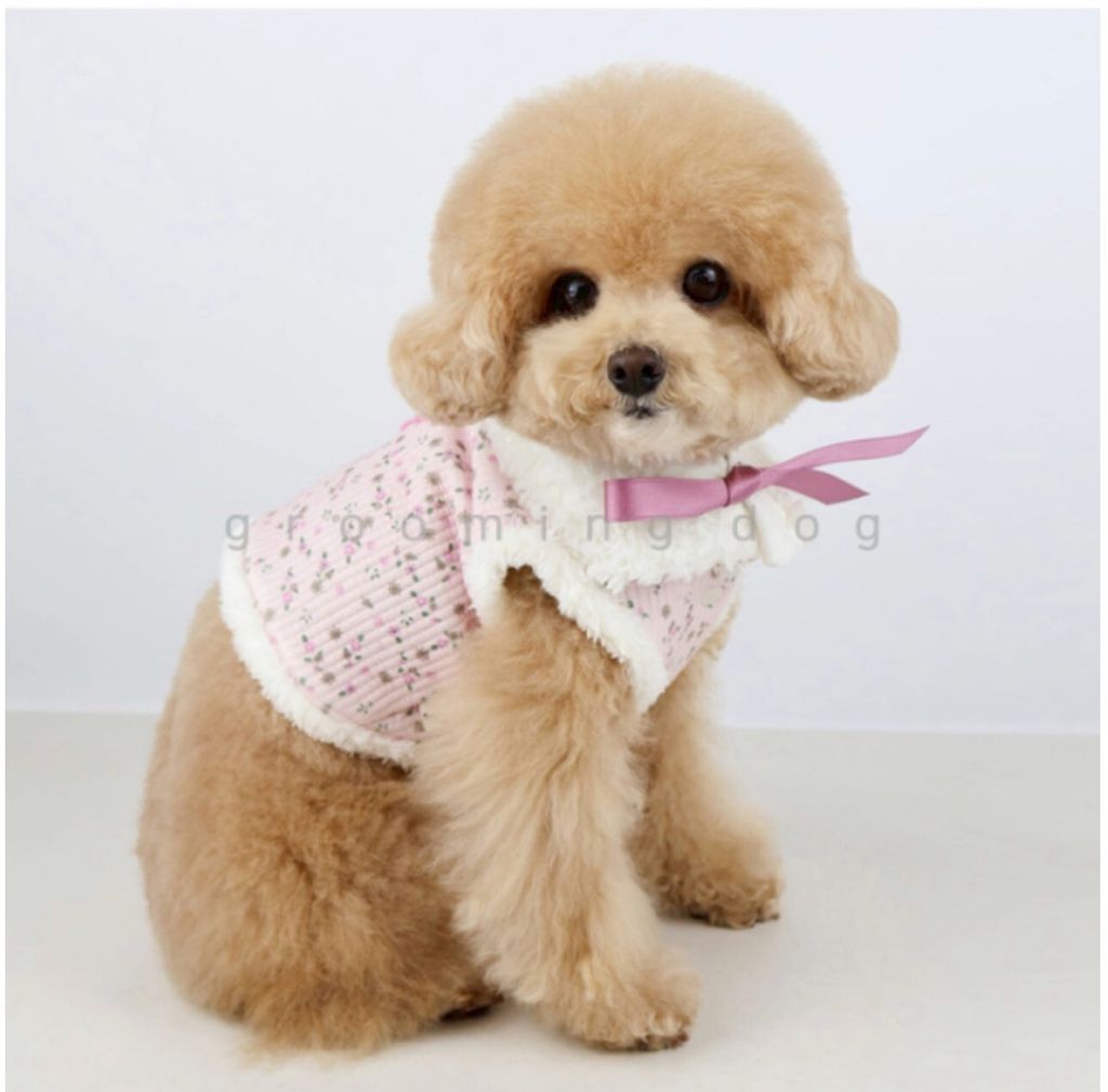 LINE_ALBUM_Grooming dog_260212_10