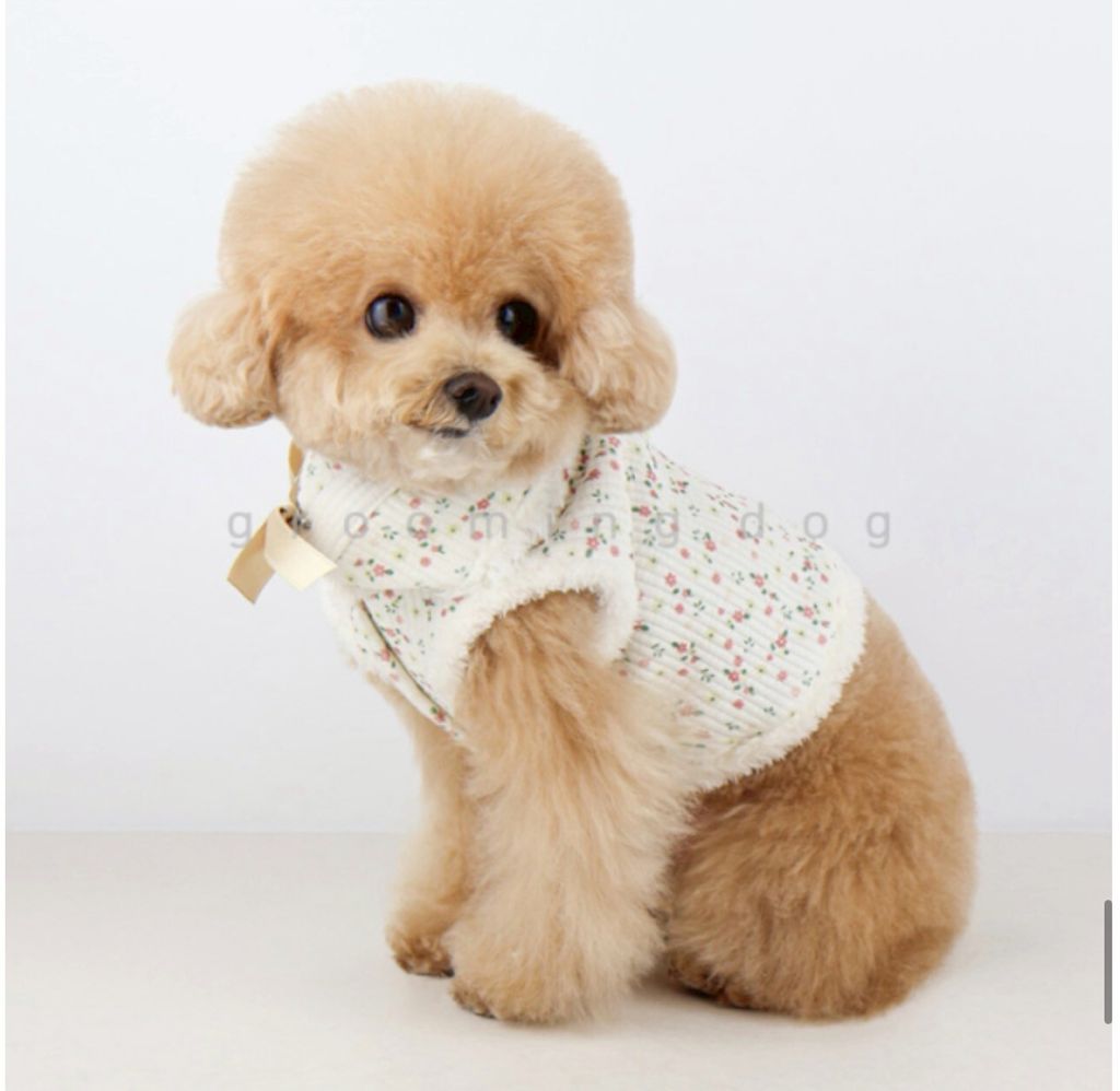 LINE_ALBUM_Grooming dog_260212_15