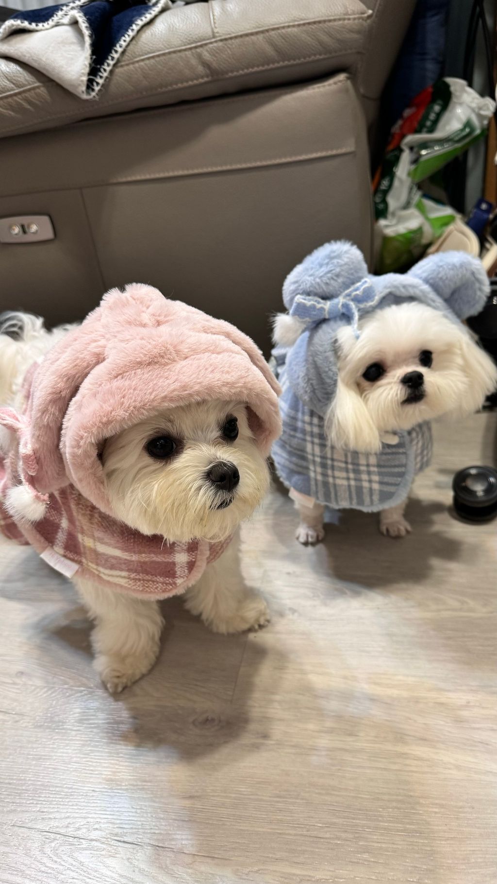 33BC6A82-91DC-40BA-AF6E-240E4A98B12A