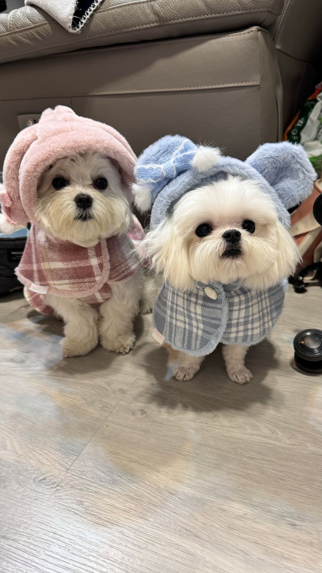 6F6A92D3-3C08-4C26-8EDB-2F02FB9FA926