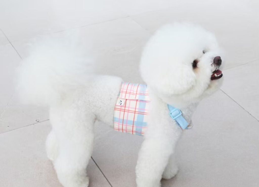 LINE_ALBUM_U_pet_260213_29