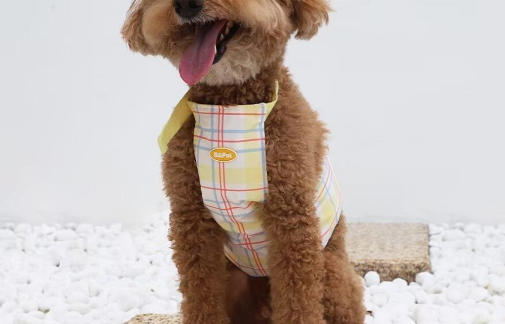 LINE_ALBUM_U_pet_260213_17