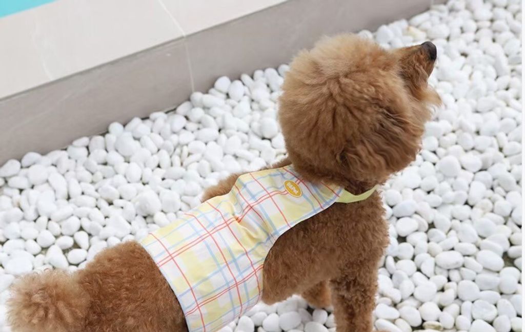 LINE_ALBUM_U_pet_260213_18