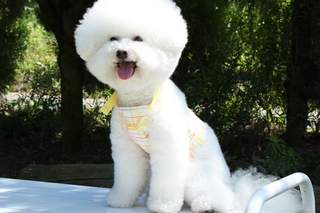 LINE_ALBUM_U_pet_260213_13