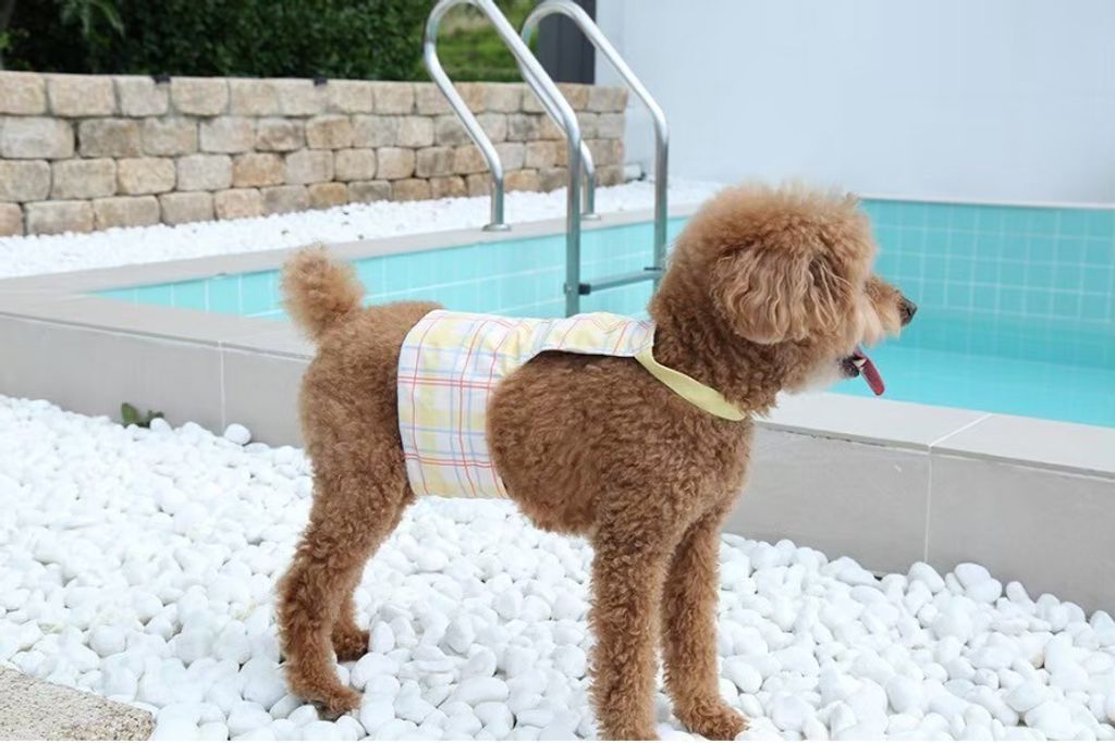 LINE_ALBUM_U_pet_260213_15