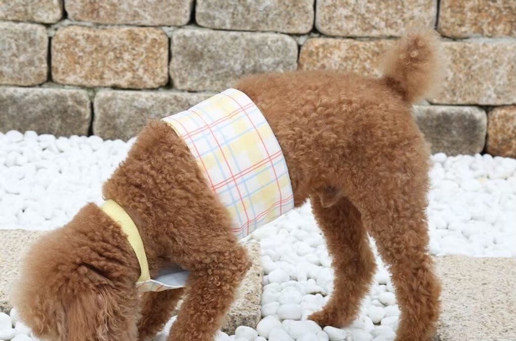 LINE_ALBUM_U_pet_260213_16