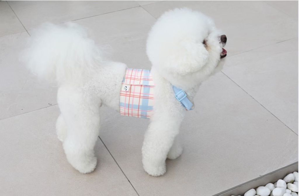 LINE_ALBUM_U_pet_260213_8