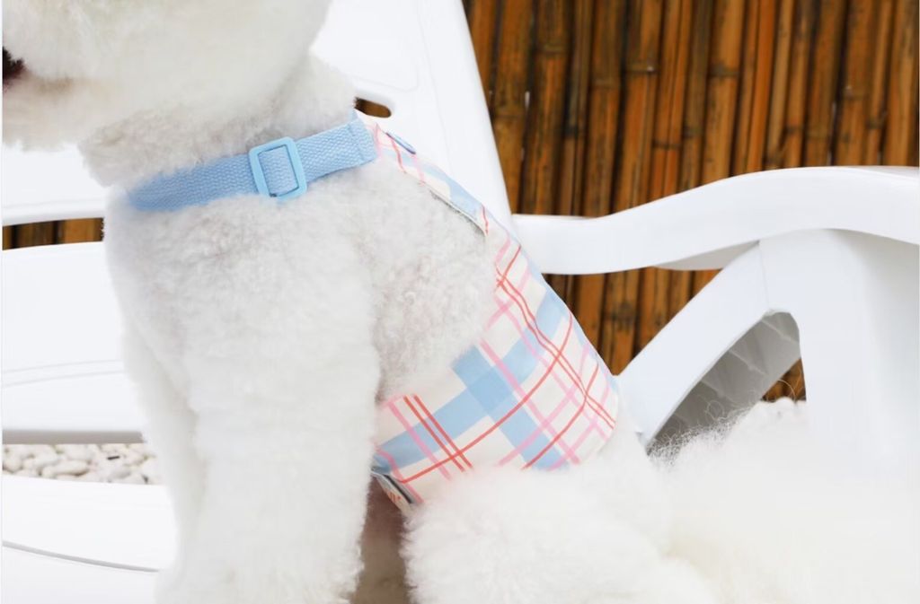 LINE_ALBUM_U_pet_260213_5