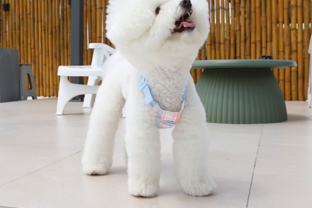 LINE_ALBUM_U_pet_260213_7