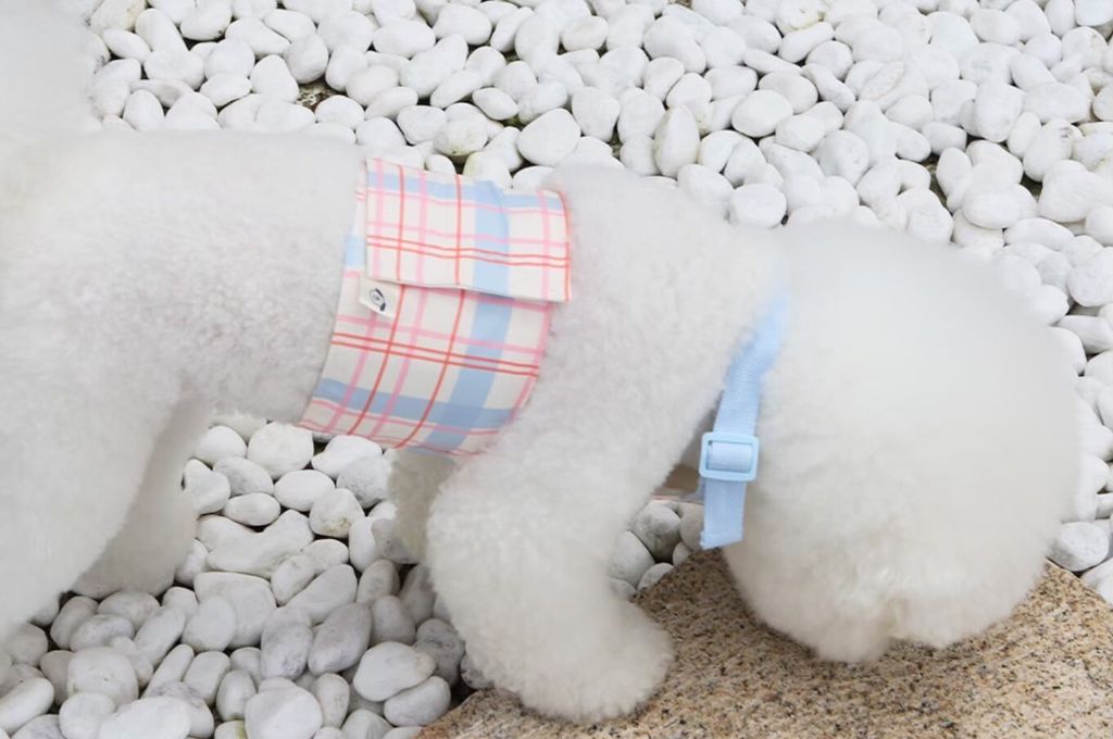 LINE_ALBUM_U_pet_260213_9