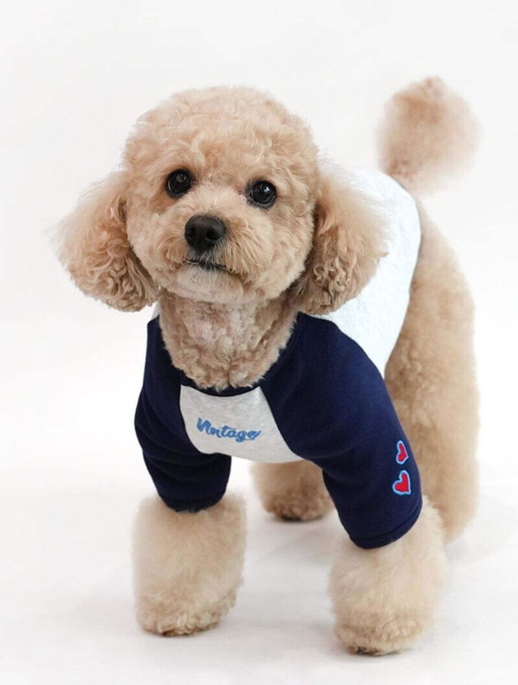 P-14.史努比復古連肩T-SHIRT_1 (1)